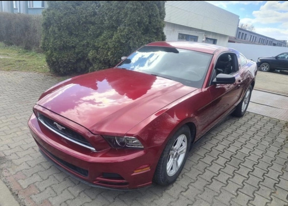 Ford Mustang cena 56800 przebieg: 177900, rok produkcji 2014 z Drobin małe 79